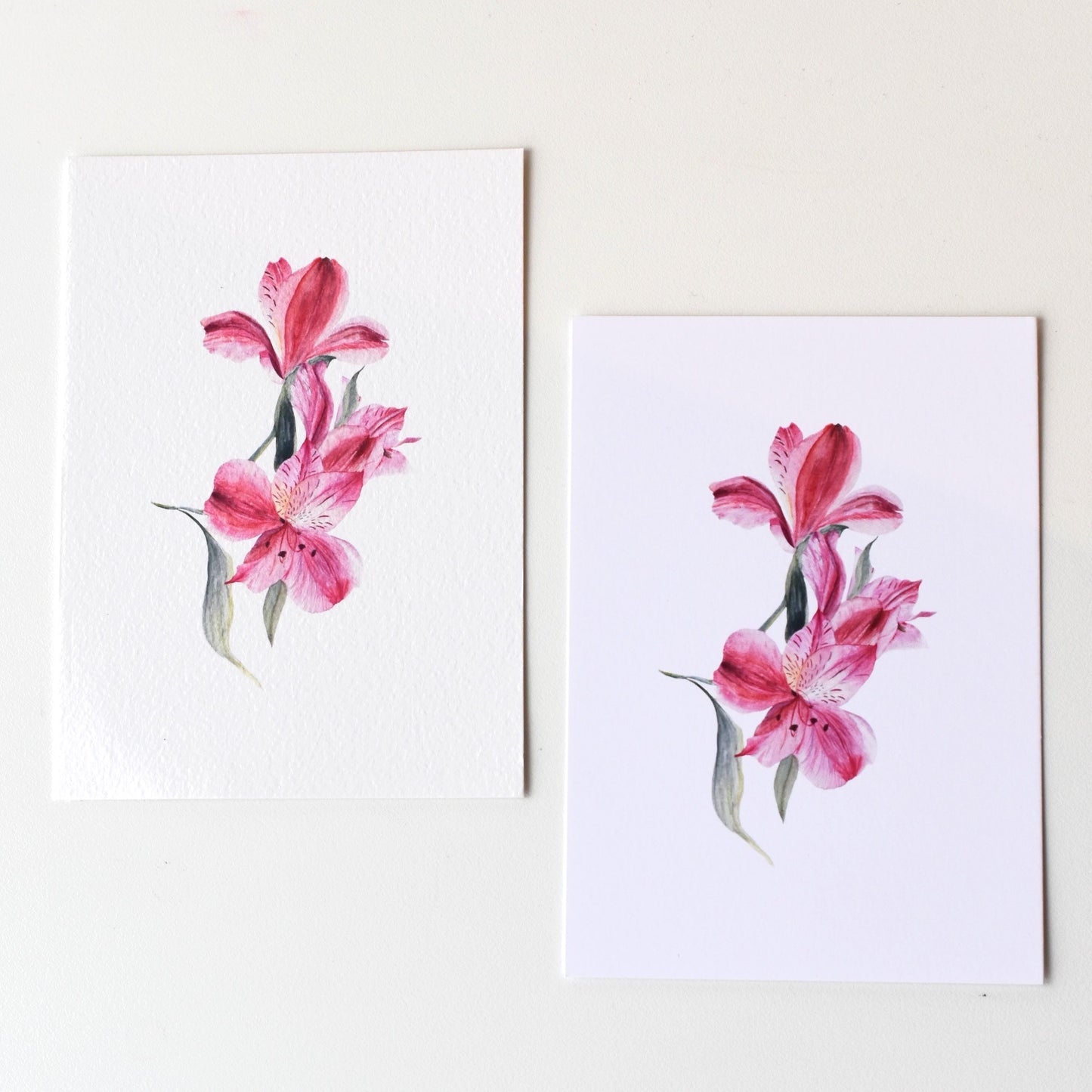 Watercolour Lily of the Incas A6 postcards — smooth matte and textured fine art paper options shown together by HerPens.