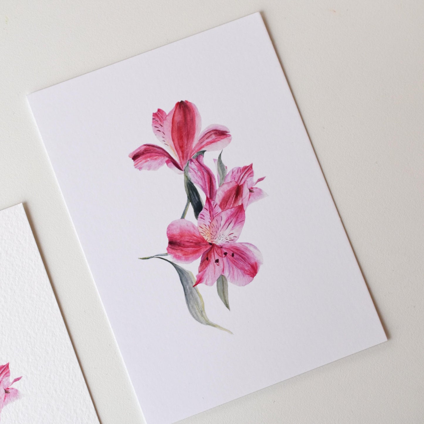 Watercolour Lily of the Incas A6 postcard — smooth matte finish, crisp and elegant print by HerPens.