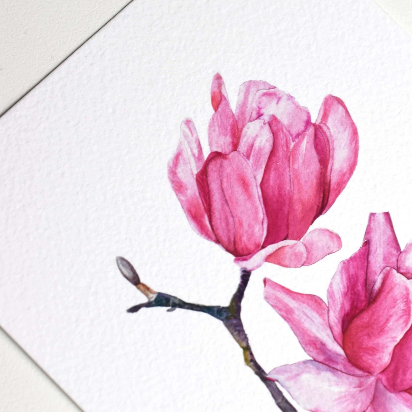 Close-up of the “Watercolour Magnolia” postcard — magnolia flower details and paper surface texture visible, by HerPens.