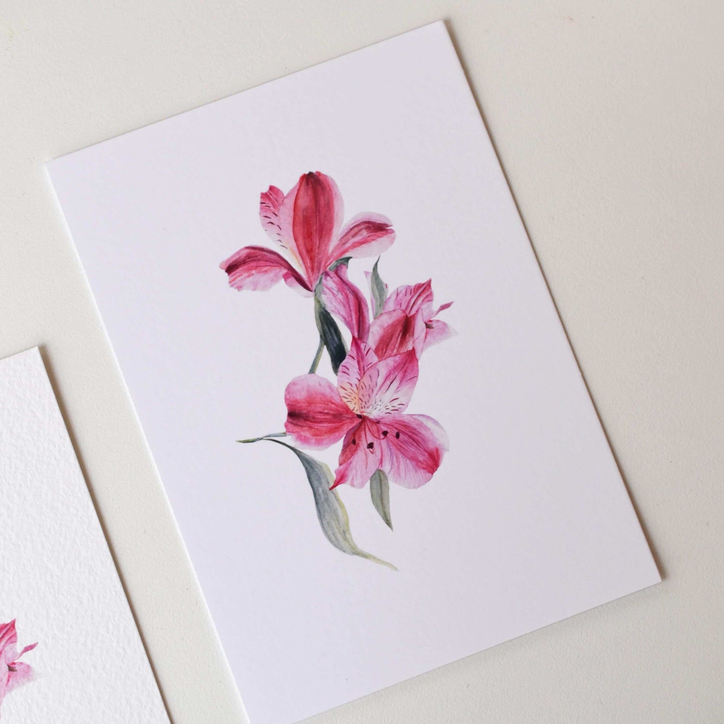 A6 Lily of the Incas watercolour postcard showing smooth matte paper texture