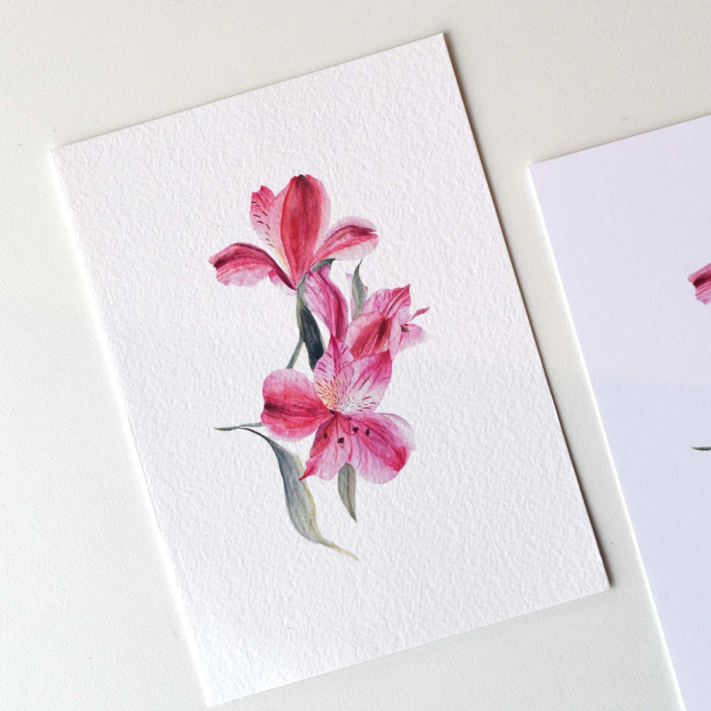 Lily of the Incas watercolour postcard shown on textured fine art paper