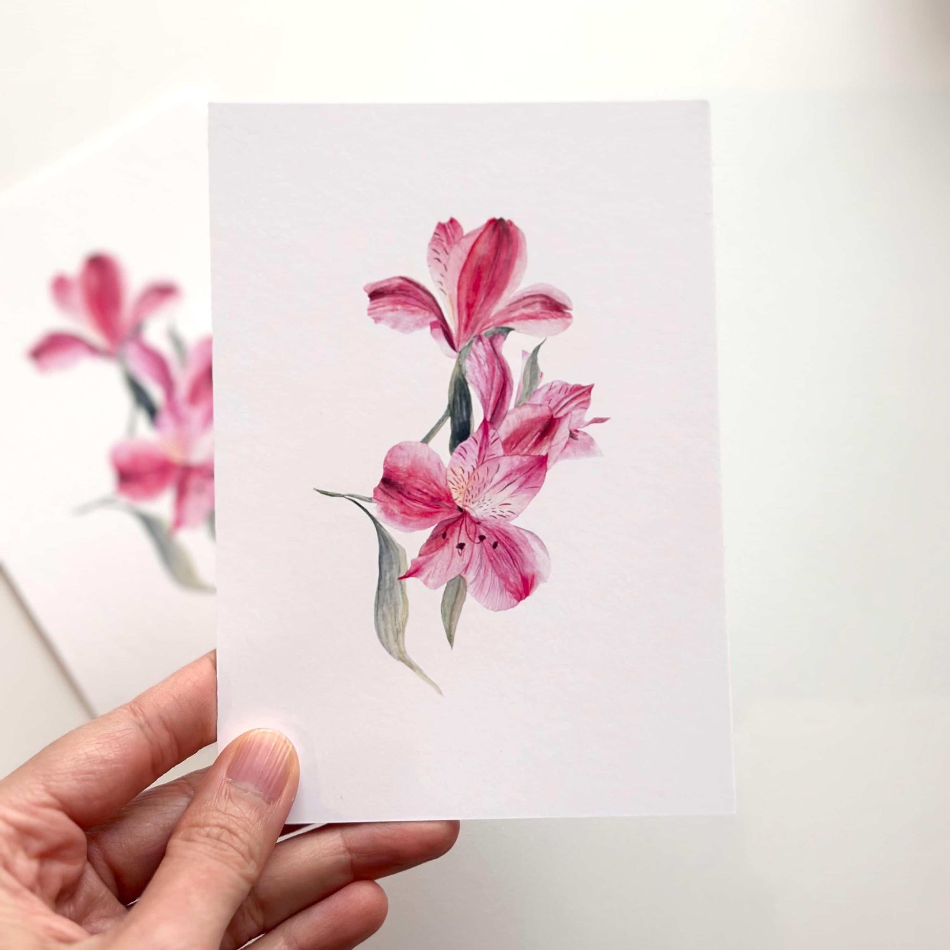 Handheld A6 postcard featuring original watercolour painting of Lily of the Incas
