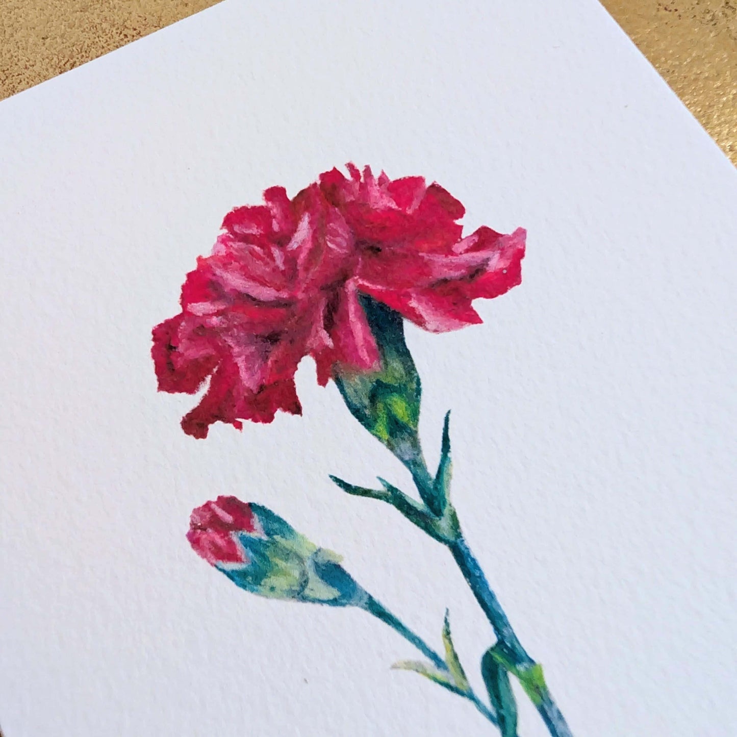 Close-up of oil pastel carnation flower on A6 postcard, January birth flower illustration with rich red petals, HerPens