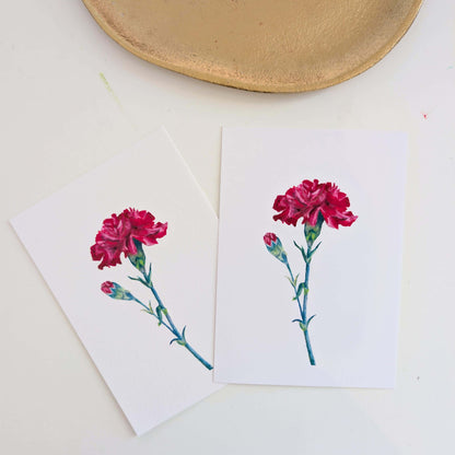 Two January birth flower carnation A6 postcards shown side by side, oil pastel floral illustration on fine art paper, HerPens