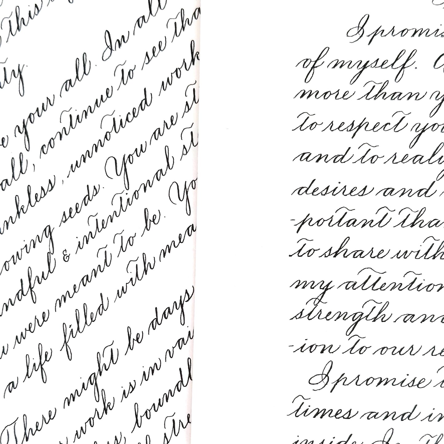 close up of handwritten Spencerian calligraphy letter in black ink by HerPens