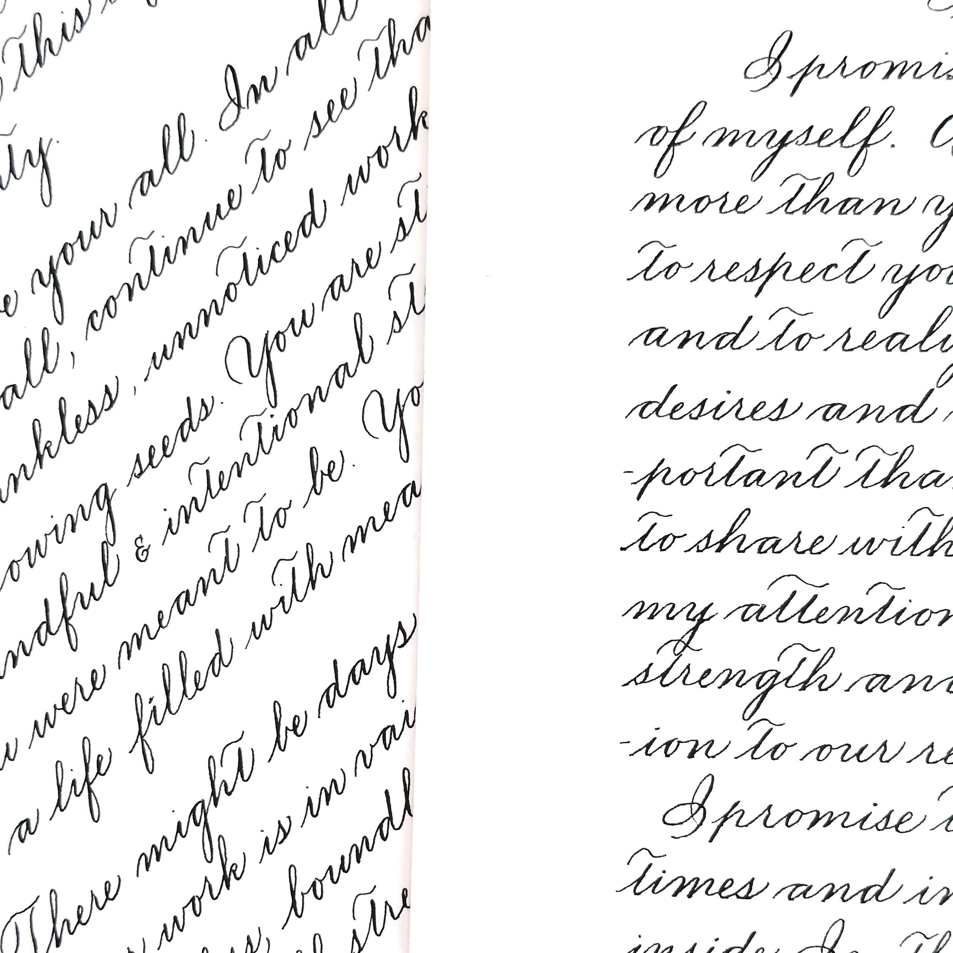 close up of handwritten Spencerian calligraphy letter in black ink by HerPens