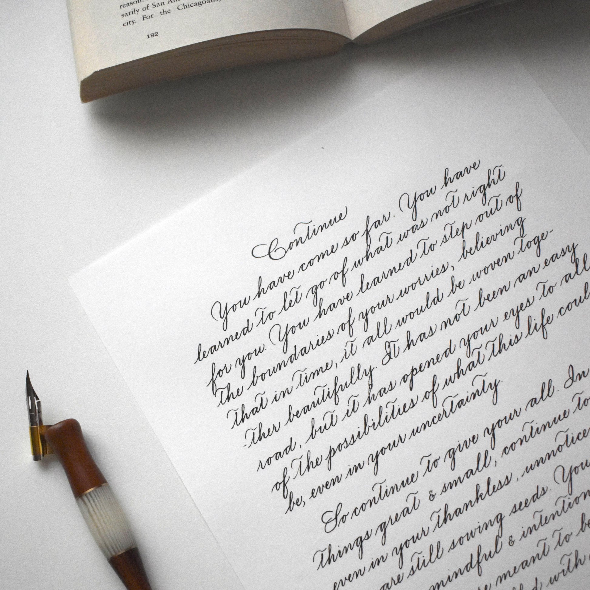Handwritten detailed spencerian calligraphy with graceful strokes and refined vintage style lettering herpens
