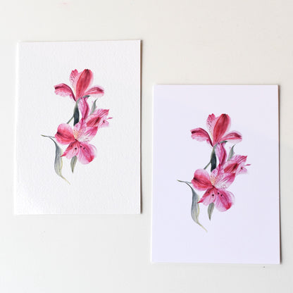Watercolour Lily of the Incas A6 postcards — smooth matte and textured fine art paper options shown together by HerPens.