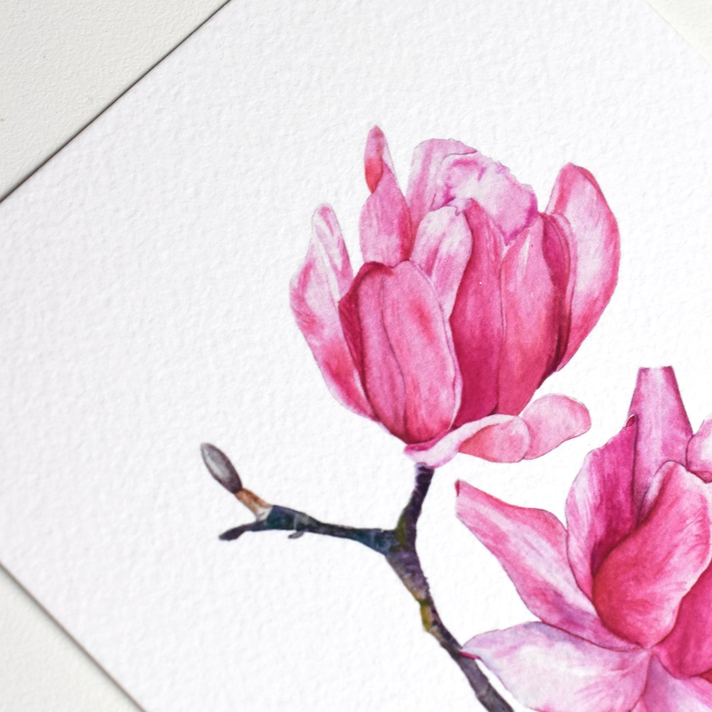 Close-up of the “Watercolour Magnolia” postcard — magnolia flower details and paper surface texture visible, by HerPens.