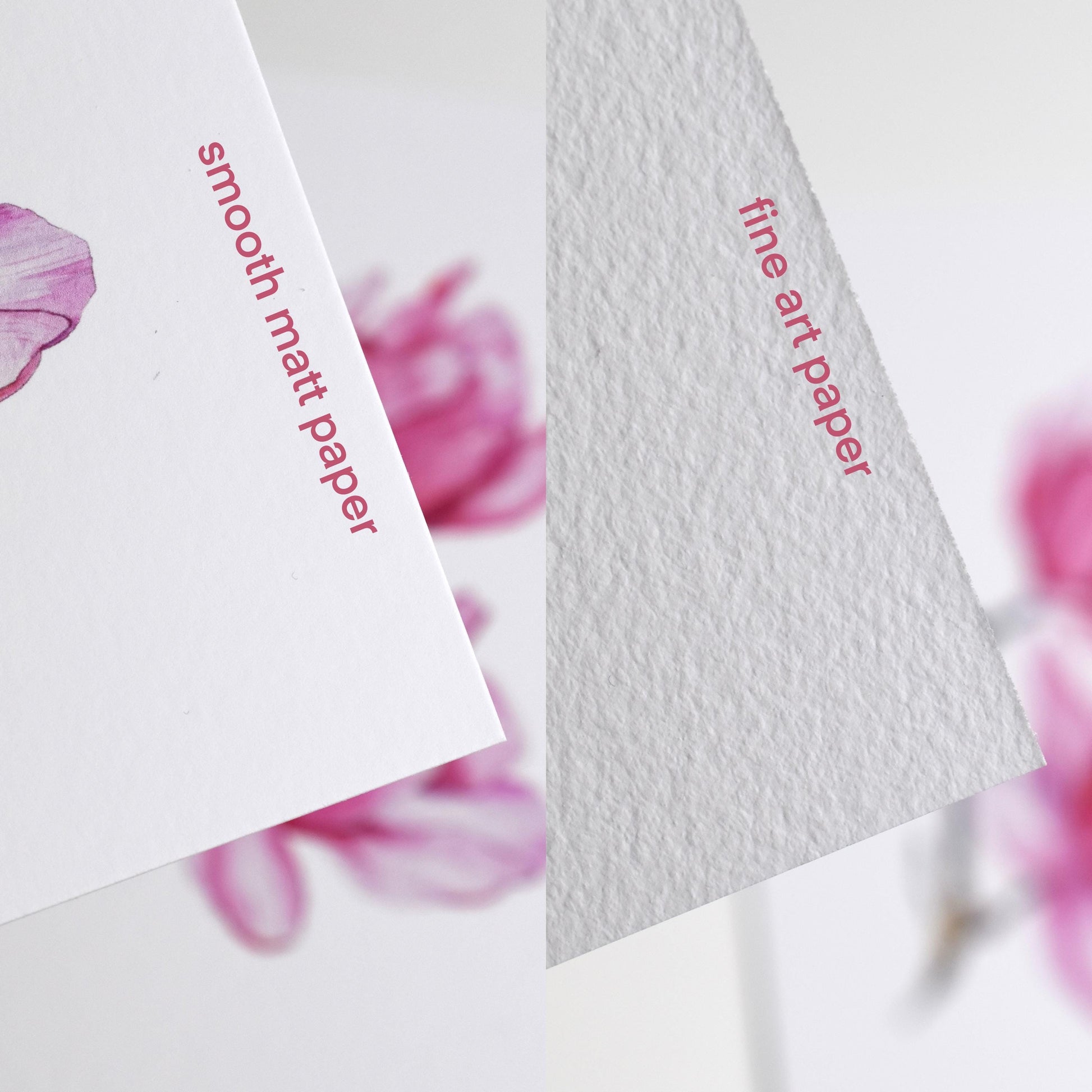 Side-by-side comparison of the “Watercolour Magnolia” postcard on smooth matte paper versus textured fine art paper, showing both finish options by HerPens.