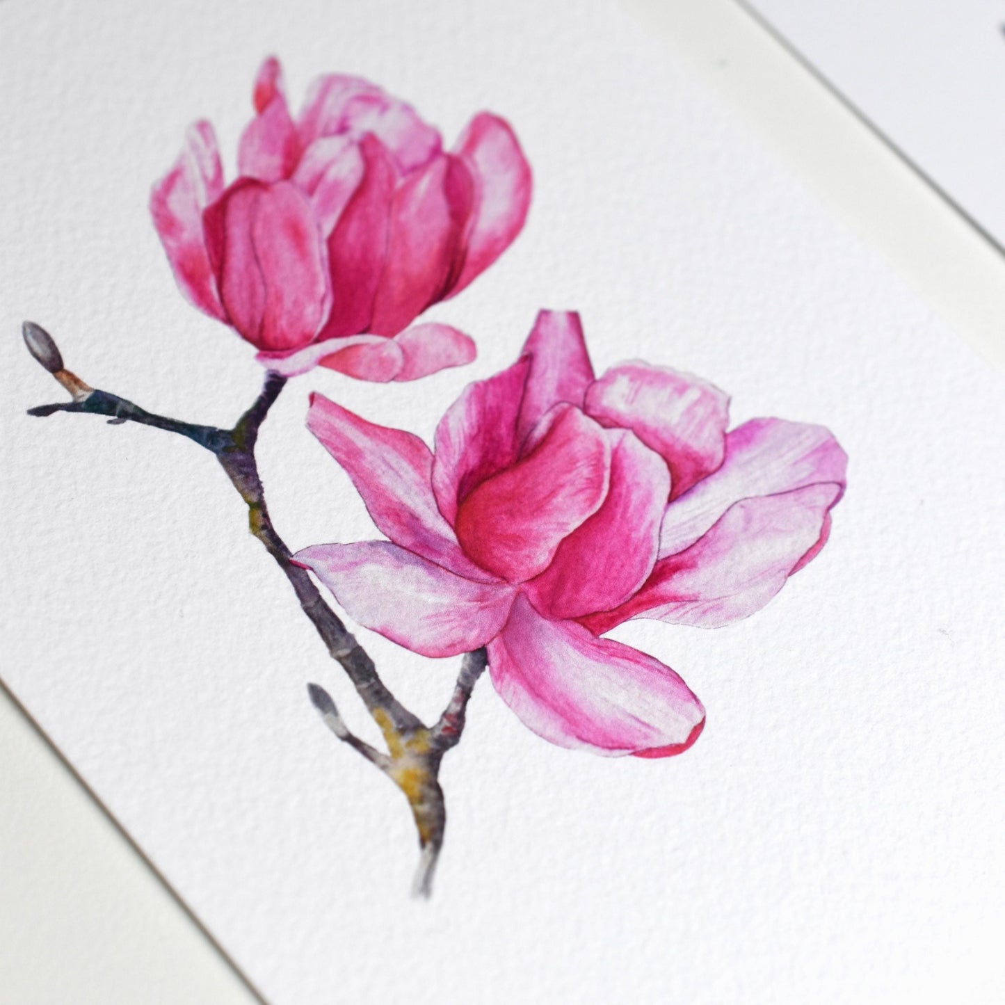 “Watercolour Magnolia” A6 art postcard printed on textured fine art 310 gsm paper — painterly feel and visible grain of magnolia illustration by HerPens.