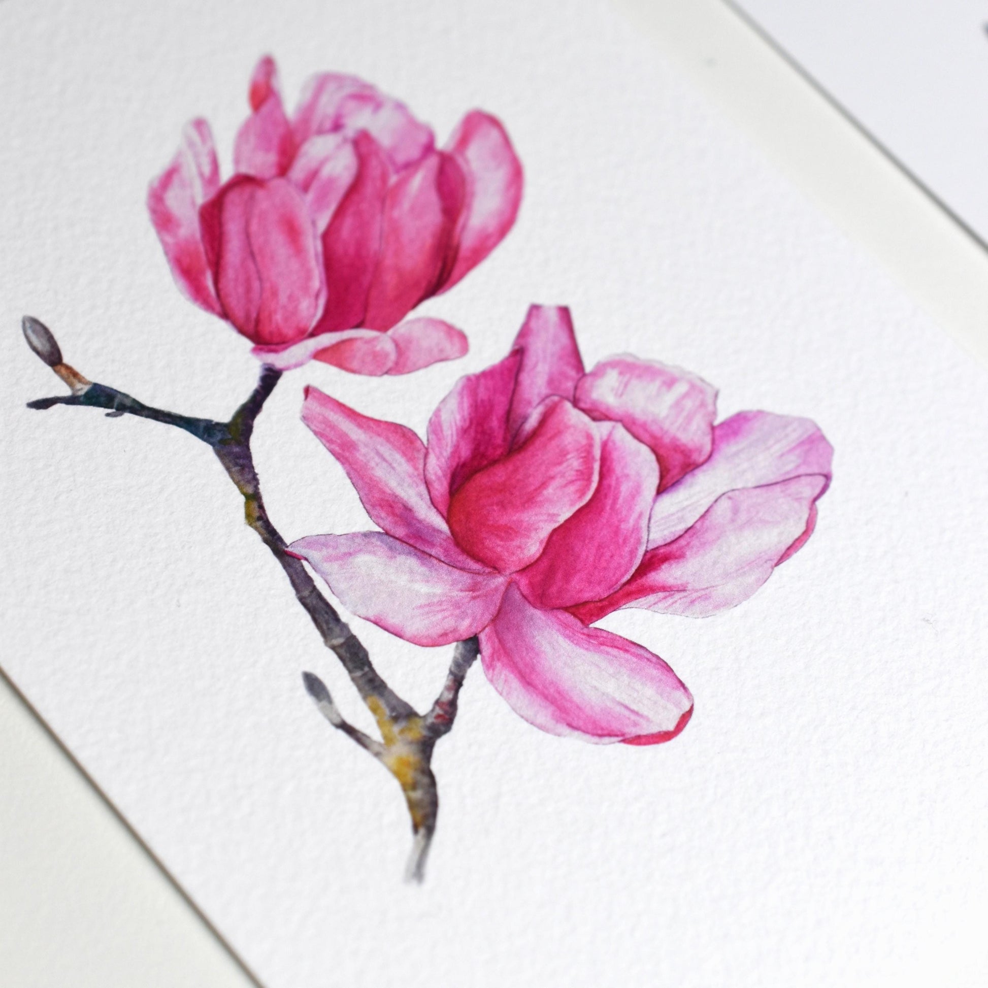 “Watercolour Magnolia” A6 art postcard printed on textured fine art 310 gsm paper — painterly feel and visible grain of magnolia illustration by HerPens.